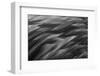 Black and white of pattern in American flamingo feathers-Adam Jones-Framed Photographic Print