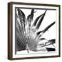 Black and White Palms I-Jason Johnson-Framed Premium Giclee Print