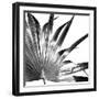 Black and White Palms I-Jason Johnson-Framed Premium Giclee Print