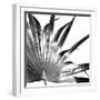 Black and White Palms I-Jason Johnson-Framed Premium Giclee Print