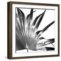 Black and White Palms I-Jason Johnson-Framed Art Print