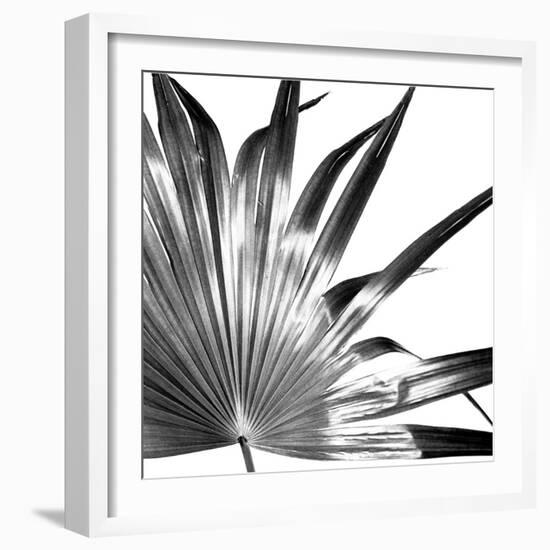 Black and White Palms I-Jason Johnson-Framed Art Print