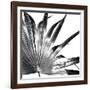 Black and White Palms I-Jason Johnson-Framed Art Print