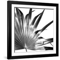 Black and White Palms I-Jason Johnson-Framed Art Print