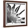 Black and White Palms I-Jason Johnson-Framed Art Print