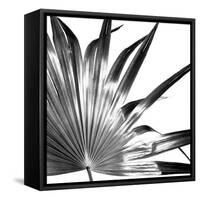 Black and White Palms I-Jason Johnson-Framed Stretched Canvas