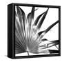 Black and White Palms I-Jason Johnson-Framed Stretched Canvas