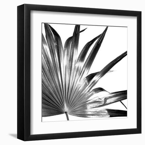 Black and White Palms I-Jason Johnson-Framed Art Print