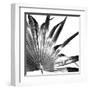 Black and White Palms I-Jason Johnson-Framed Art Print