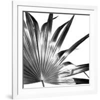 Black and White Palms I-Jason Johnson-Framed Art Print