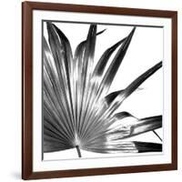 Black and White Palms I-Jason Johnson-Framed Art Print