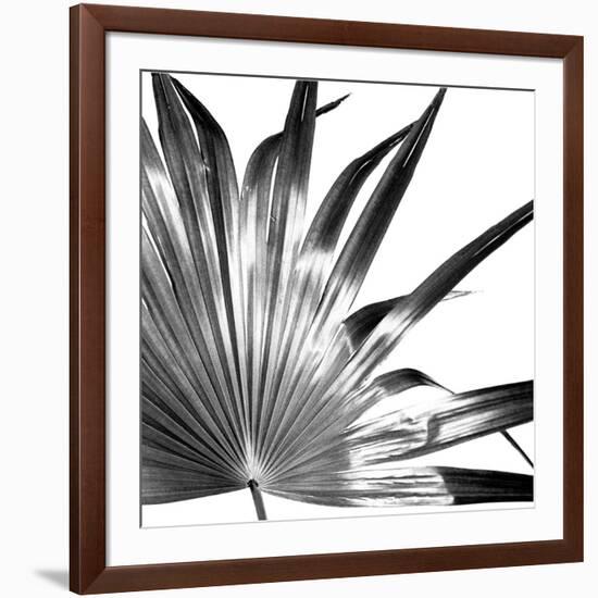 Black and White Palms I-Jason Johnson-Framed Art Print