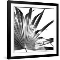 Black and White Palms I-Jason Johnson-Framed Art Print
