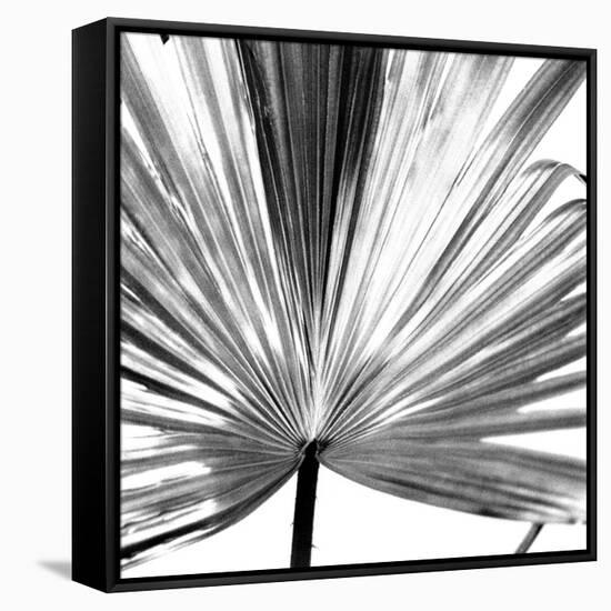 Black and White Palms III-Jason Johnson-Framed Stretched Canvas
