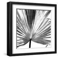 Black and White Palms III-Jason Johnson-Framed Art Print