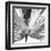 Black and White Palms III-Jason Johnson-Framed Art Print