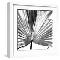 Black and White Palms III-Jason Johnson-Framed Art Print