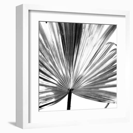 Black and White Palms III-Jason Johnson-Framed Art Print