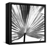Black and White Palms III-Jason Johnson-Framed Stretched Canvas