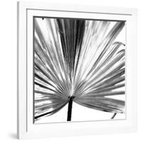 Black and White Palms III-Jason Johnson-Framed Art Print