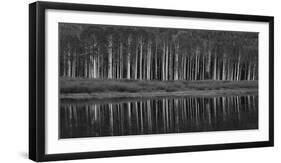 Black And White Panoramic Shot Of Willow Lake, Big Cottonwood Canyon, Utah-Austin Cronnelly-Framed Photographic Print