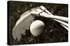 Black And White Photo Of Golf Clubs And A Golf Ball In Low Light For Contrast-tish1-Stretched Canvas