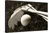 Black And White Photo Of Golf Clubs And A Golf Ball In Low Light For Contrast-tish1-Stretched Canvas