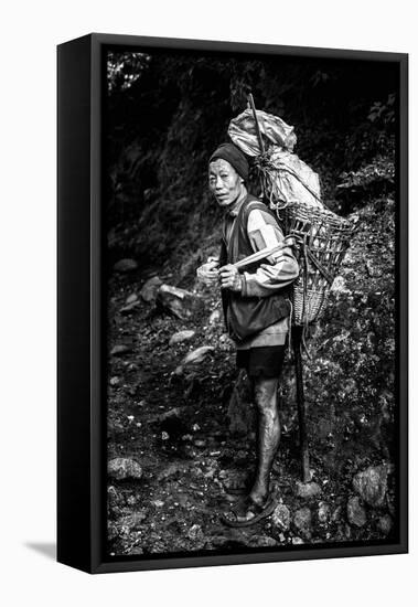 Black and white picture of a Sherpa carrying meat up to Everest Base Camp in Nepal-David Chang-Framed Stretched Canvas
