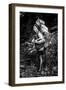 Black and white picture of a Sherpa carrying meat up to Everest Base Camp in Nepal-David Chang-Framed Photographic Print