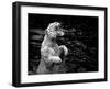 Black and White Picture of a White Tiger Standing in Water-Kjersti Joergensen-Framed Photographic Print
