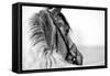 Black-And-White Portrait of a Sports Stallion in a Bridle.-Elya Vatel-Framed Stretched Canvas