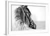 Black-And-White Portrait of a Sports Stallion in a Bridle.-Elya Vatel-Framed Photographic Print