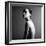 Black and White Portrait of Nude Elegant Female. Studio Photo-Mayer George-Framed Photographic Print