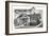 Black and White Rendering of Craftsman Home-null-Framed Art Print