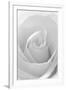 Black and White Rose Abstract-Anna Miller-Framed Photographic Print