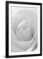 Black and White Rose Abstract-Anna Miller-Framed Photographic Print