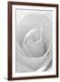 Black and White Rose Abstract-Anna Miller-Framed Photographic Print