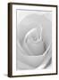 Black and White Rose Abstract-Anna Miller-Framed Photographic Print