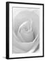 Black and White Rose Abstract-Anna Miller-Framed Photographic Print