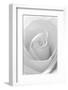 Black and White Rose Abstract-Anna Miller-Framed Premium Photographic Print