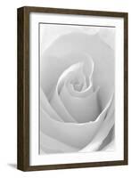 Black and White Rose Abstract-Anna Miller-Framed Photographic Print