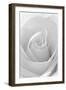 Black and White Rose Abstract-Anna Miller-Framed Photographic Print