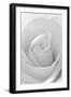 Black and White Rose Abstract-Anna Miller-Framed Photographic Print