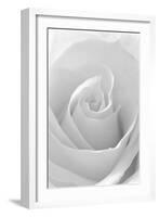 Black and White Rose Abstract-Anna Miller-Framed Photographic Print