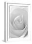 Black and White Rose Abstract-Anna Miller-Framed Photographic Print