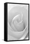 Black and White Rose Abstract-Anna Miller-Framed Stretched Canvas