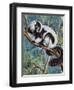 Black-And-White Ruffed Lemur (Varecia Variegata), Lemuridae-null-Framed Giclee Print