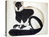 Black and White Ruffed Lemur-null-Stretched Canvas