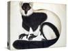 Black and White Ruffed Lemur-null-Stretched Canvas