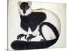 Black and White Ruffed Lemur-null-Stretched Canvas